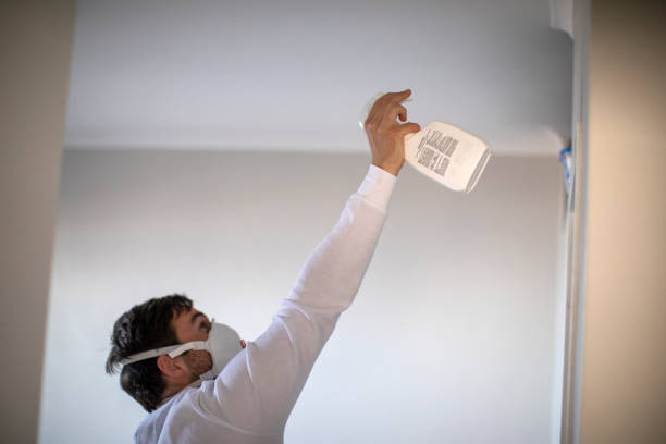 Best Residential Mold Remediation in Lwa, CA